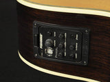 Richwood D70 CEVA handgefertigte Dreadnought