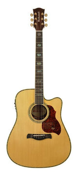 Richwood D70 CEVA handgefertigte Dreadnought