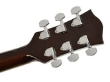 Richwood RA-12 Akustikgitarre