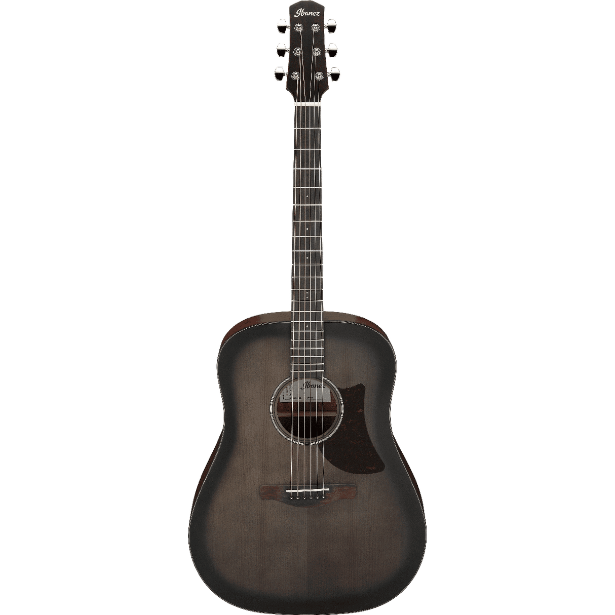 Ibanez AAD50TCB Schwarz