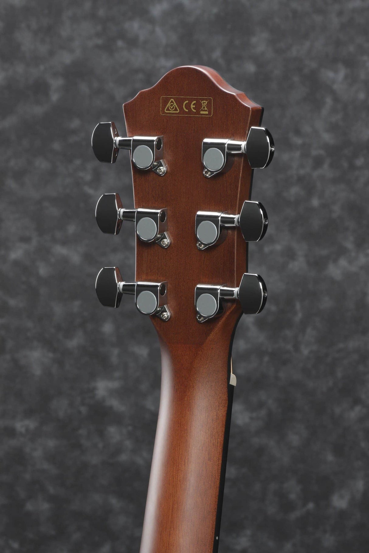 Ibanez AEG70PIH Lila