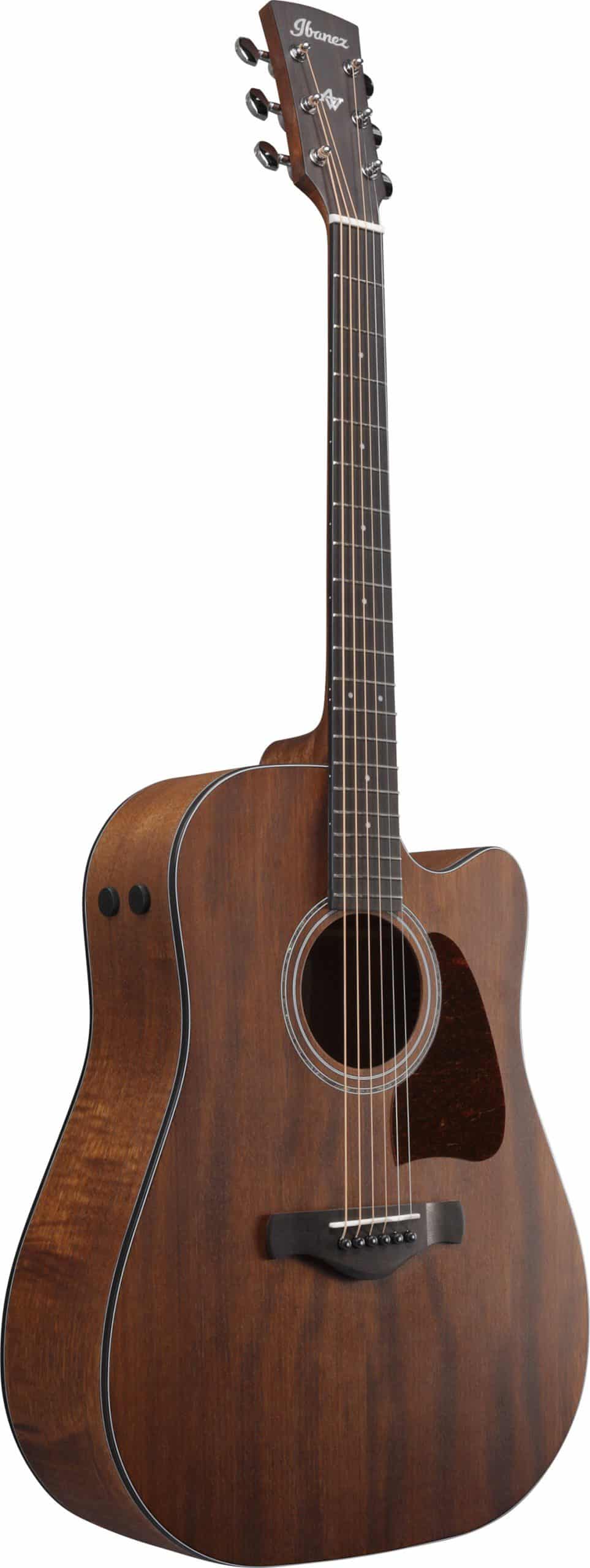 Ibanez AW1040CEOPN Natur