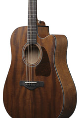 Ibanez AW1040CEOPN Natur