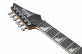 Ibanez GRG220PA1BKB Schwarz