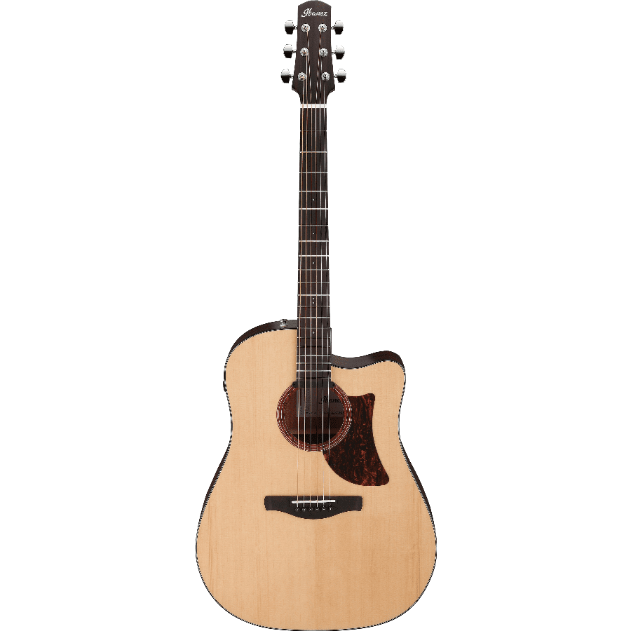 Ibanez AAD170CE Natürlicher niedriger Glanz