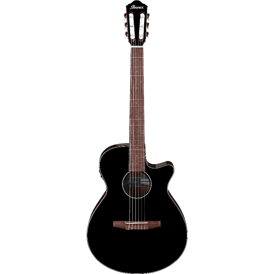 Ibanez AEG50N-BKH Schwarz Hochglanz mit Element