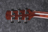 Ibanez AAD170CE Natürlicher niedriger Glanz