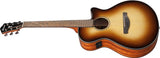 Ibanez AEG50 DHH Dark Honey Burst Hochglanz