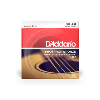 Daddario EJ17 13-56 Phosphor Bronze