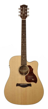 Richwood D-20-CE Dreadnought-Gitarre