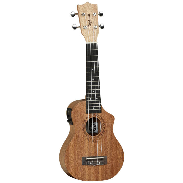 Tanglewood Tiare T1 CE